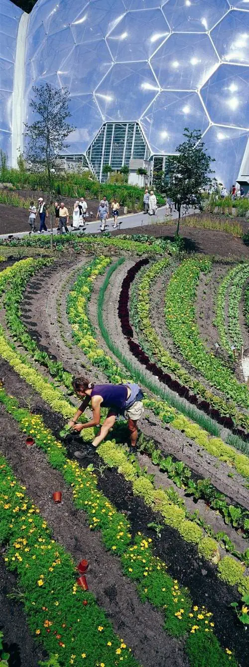 Beautiful edible landscaping with a rainbow garden bed (the Eden Project)