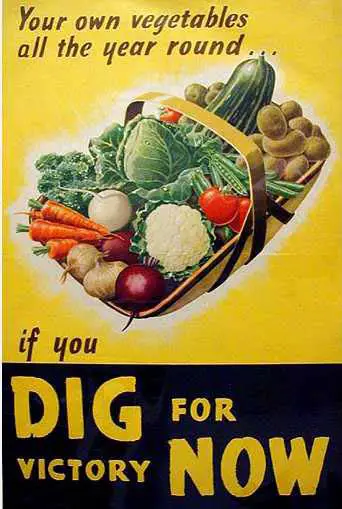 Victory Garden Posters
