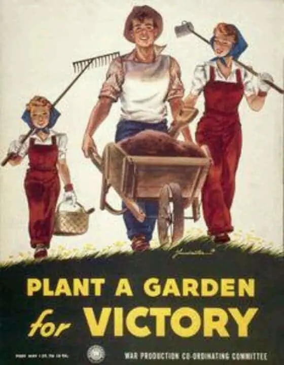 Victory Garden Posters