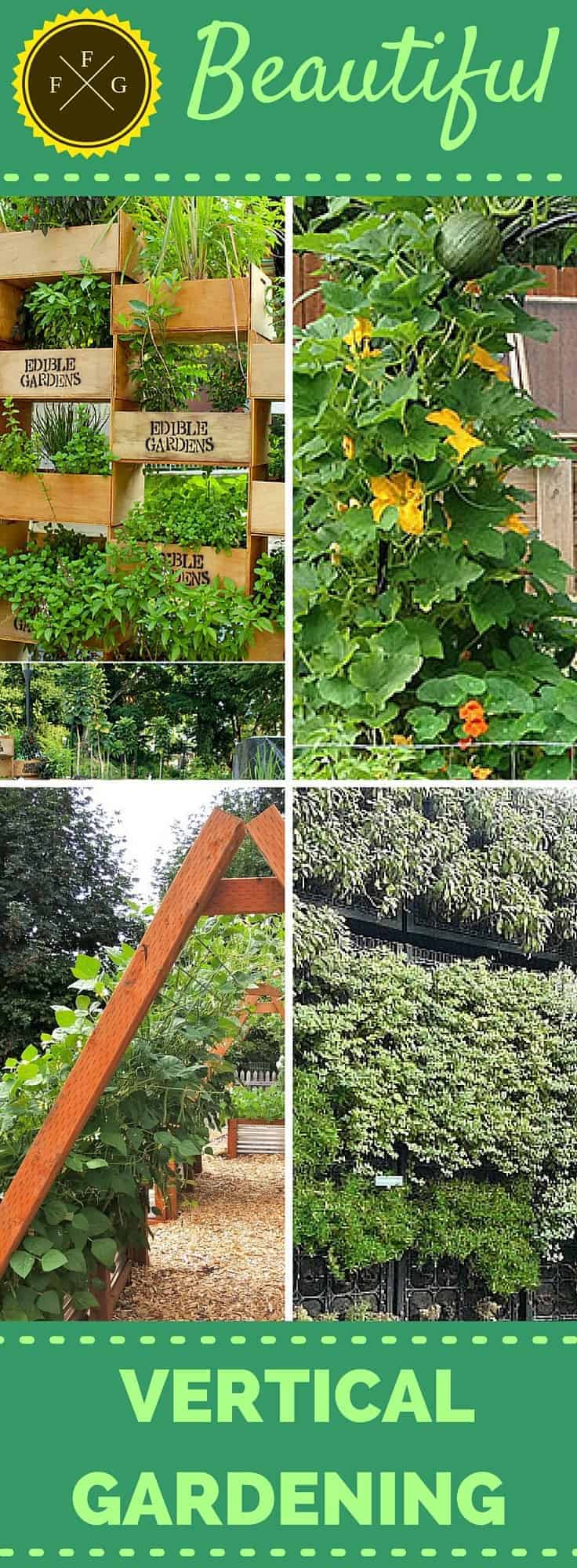 Beautiful edible vertical garden designs ~ Family Food Garden Beautiful edible vertical garden designs ~ Family Food Garden