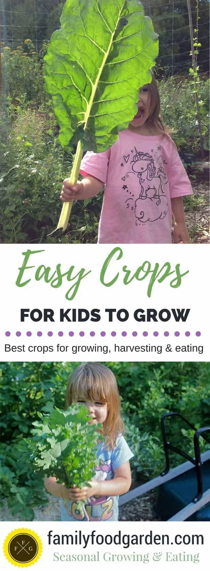 Easy seeds for little hands to grow, harvest & eat from the garden