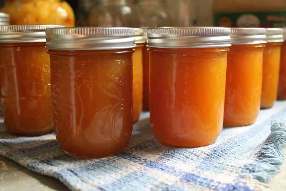 Vanilla Peach Jam Recipe