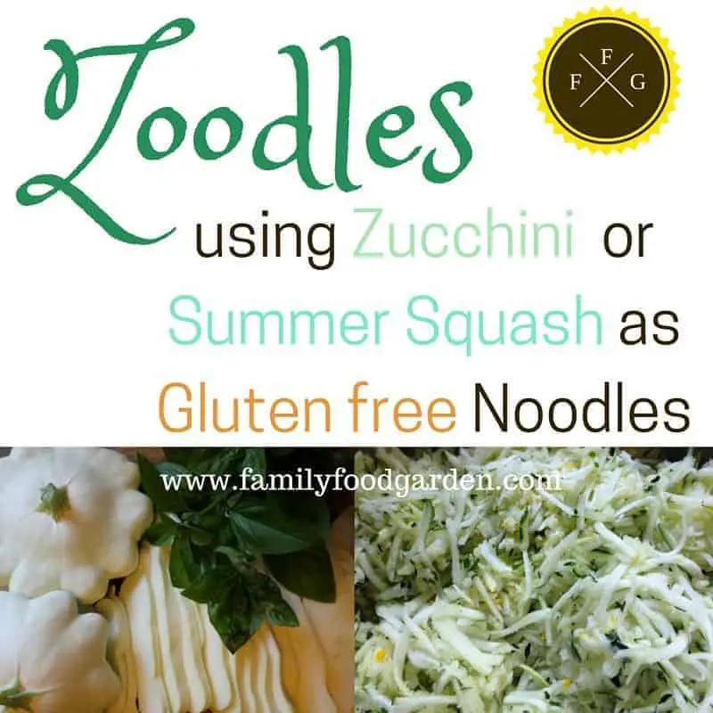 Zoodles: Gluten free noodles using Zucchini or Summer Squash!