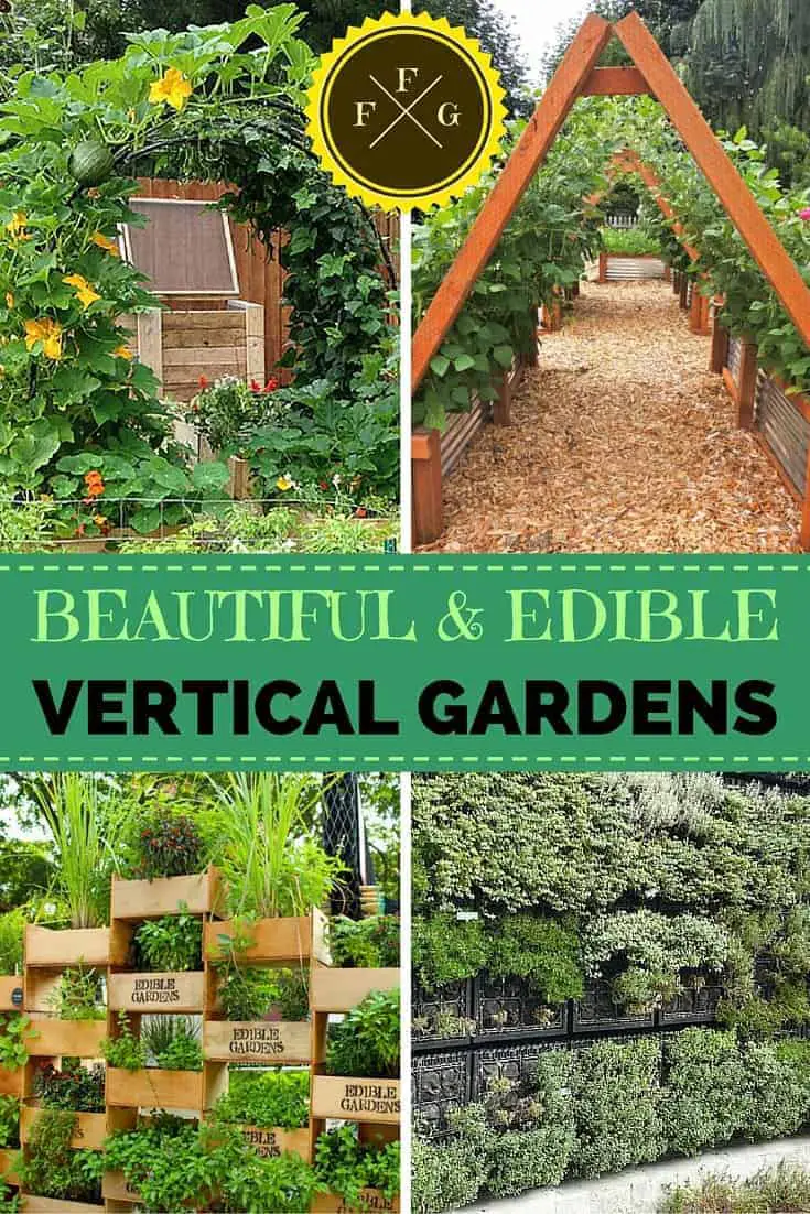 Beautiful edible vertical garden designs