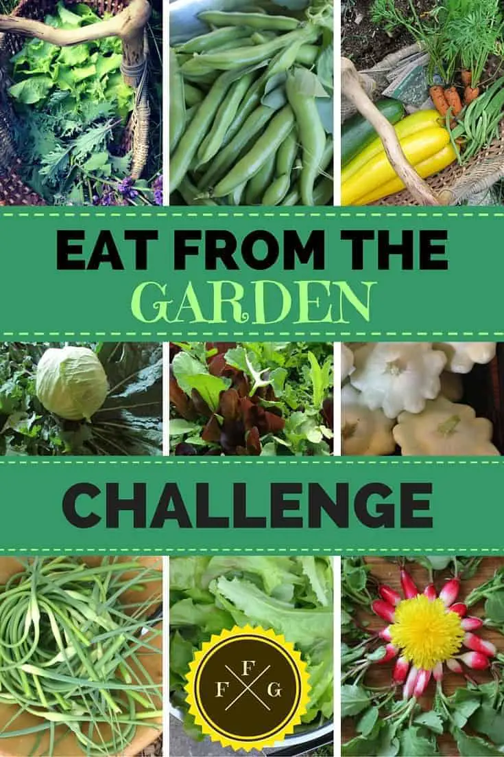 Challenge yourself to only eat from your garden for 1 month or more! Don't have a garden? Support local farmers instead