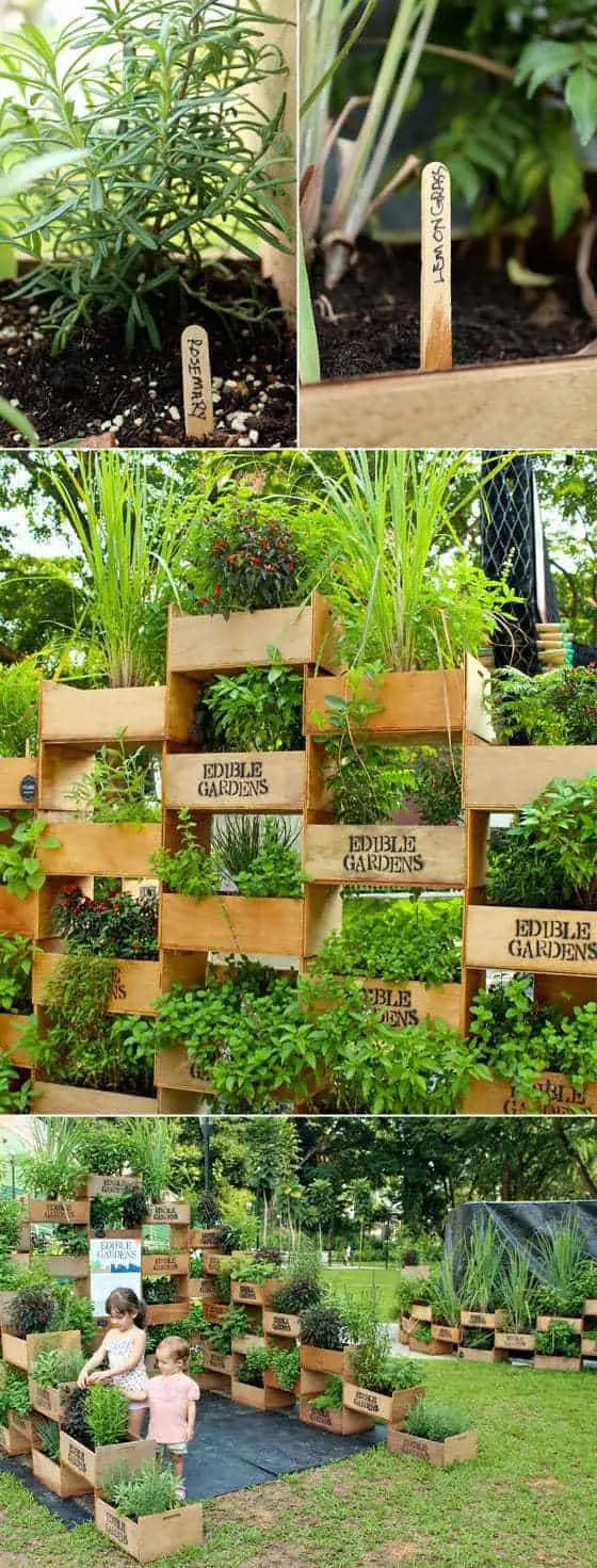 Beautiful vertical edible gardening