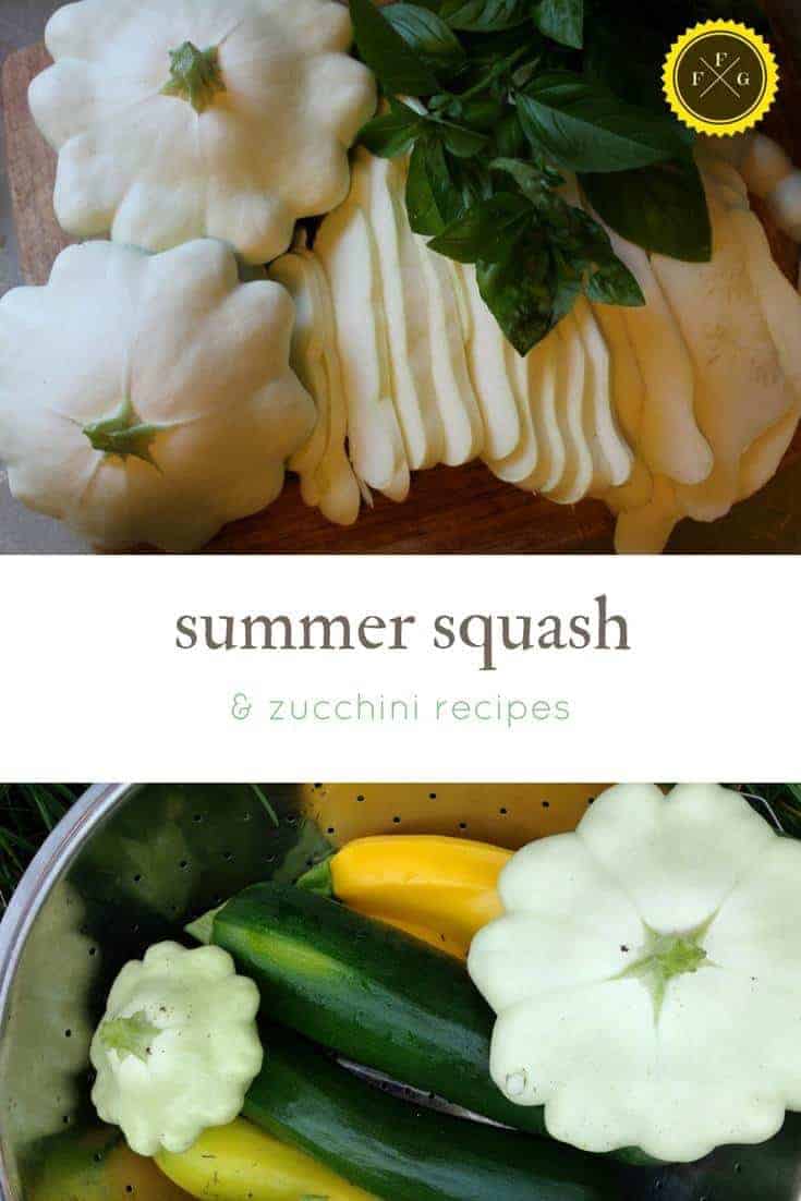 100+ Savory & Sweet Zucchini and Summer Squash Recipes ~Family Food Garden