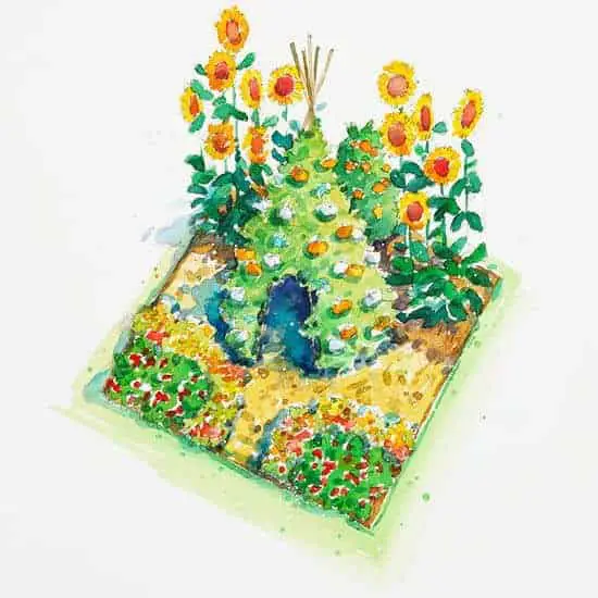 Childrens vegetable garden design