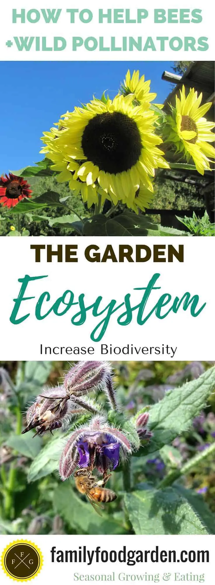 The importance of creating biodiversity for better gardening