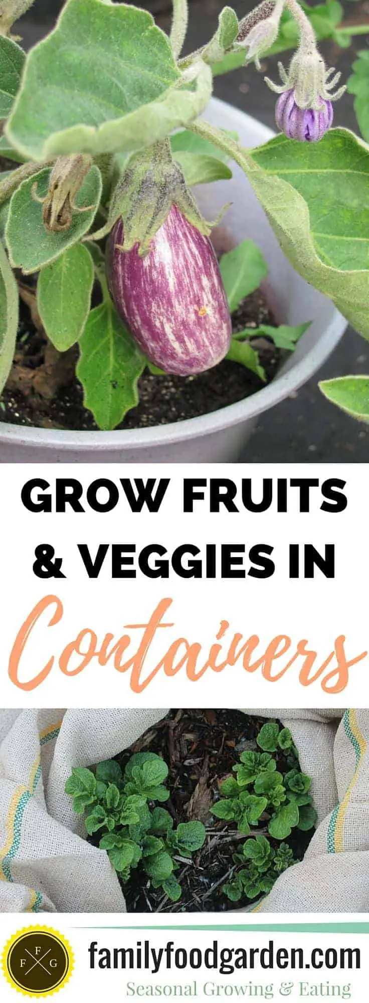 Fruits and Vegetables you can Grow in Containers