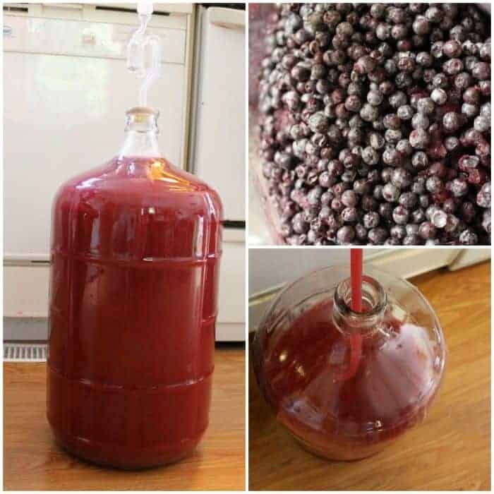 Elderberry Wine Recipe