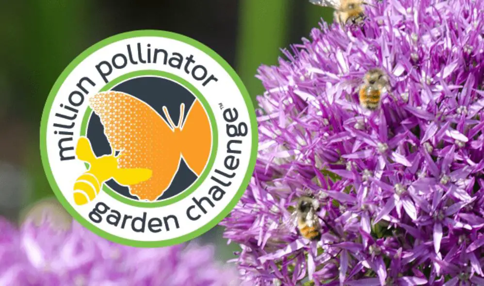 Million Pollinator Garden Challenge