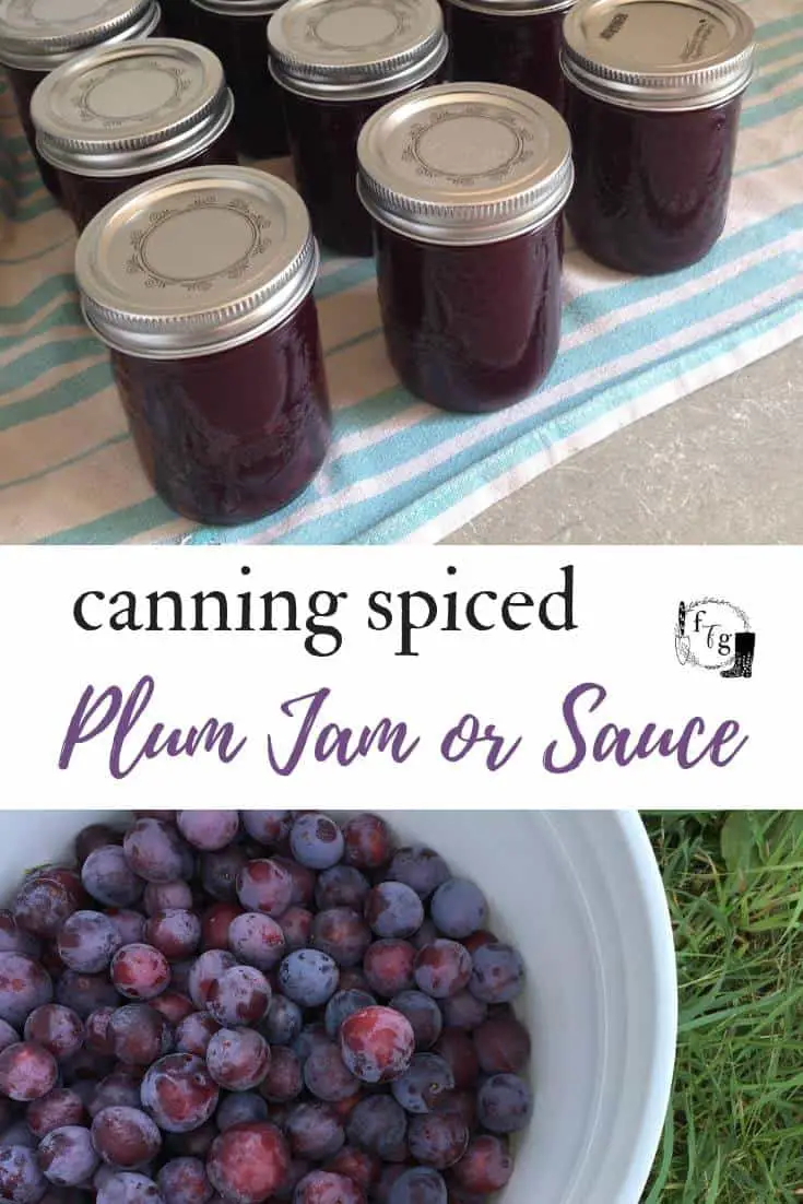 spiced plum jam recipe