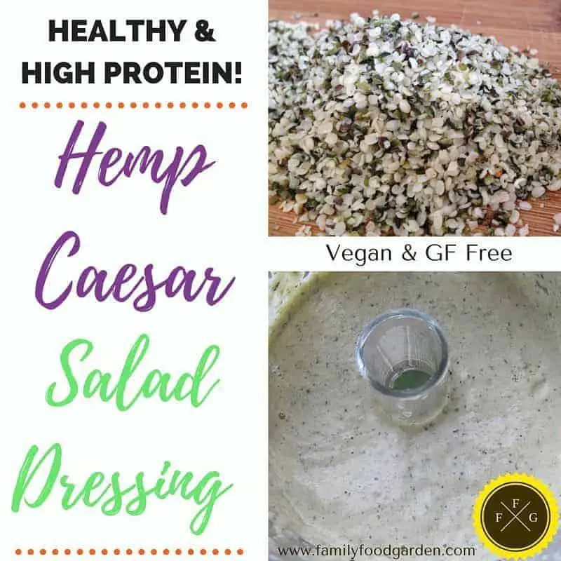 High Protein Hemp Caesar Salad Dressing