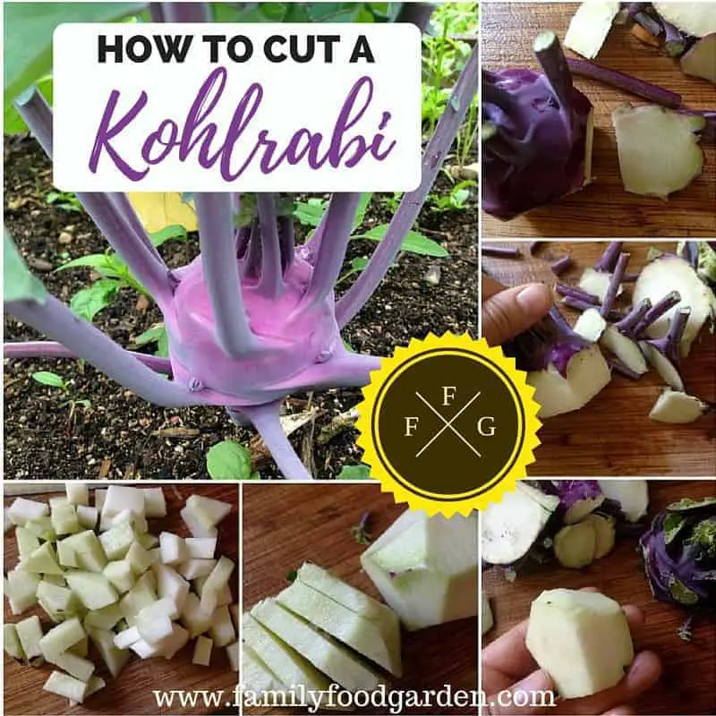 How to cut a kohlrabi (+ recipes!)