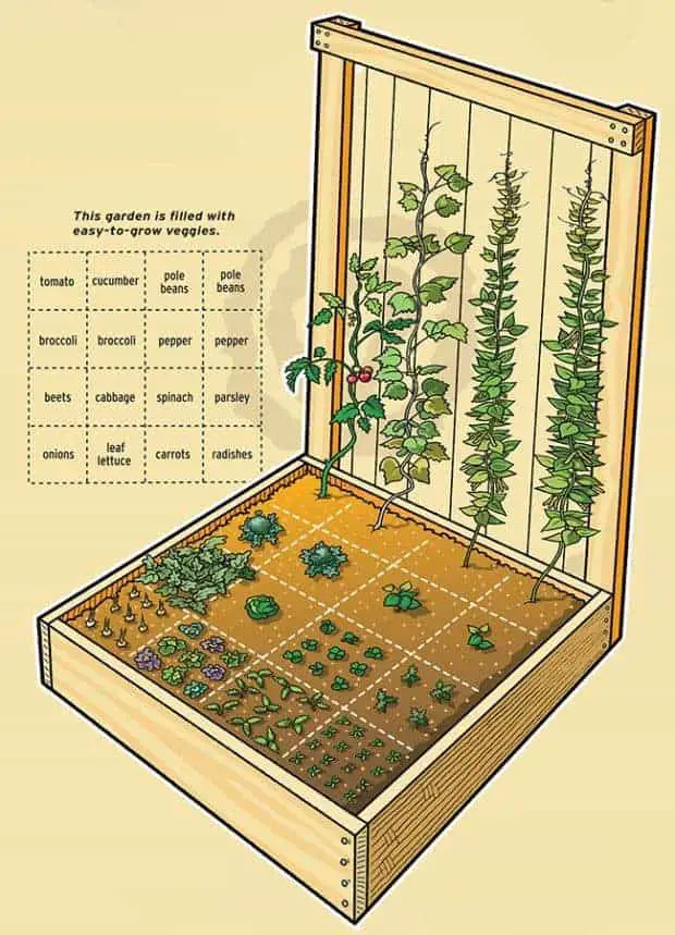 Inspiring Vegetable Garden Bed Designs &amp; Plans Family ...