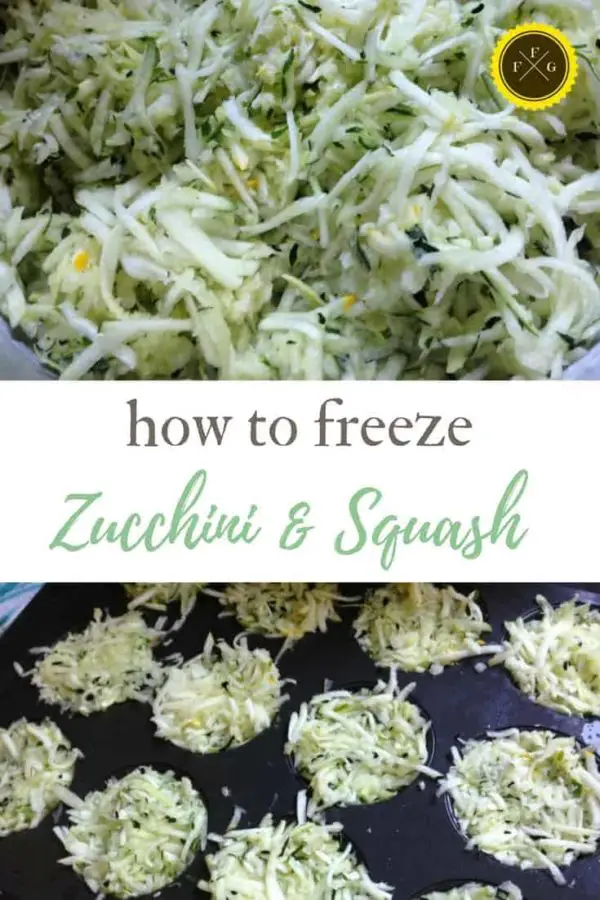 How to Freeze Shredded Zucchini [Easy DIY Guide] Family Food Garden