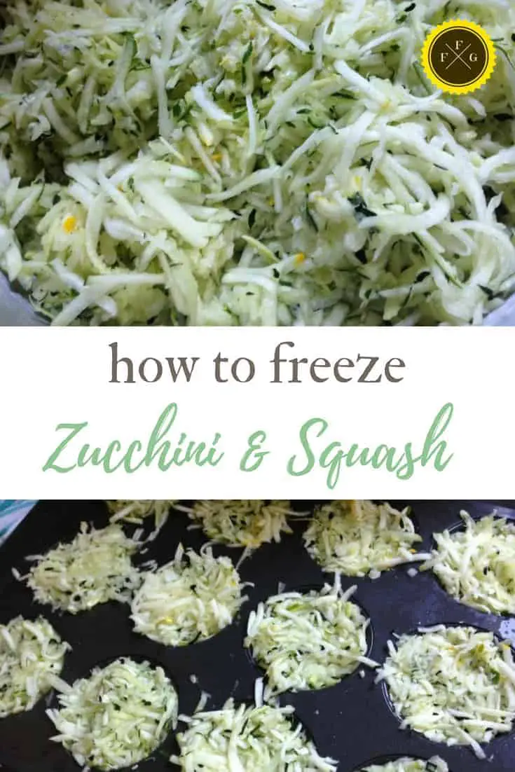 Freezing shredded zucchini