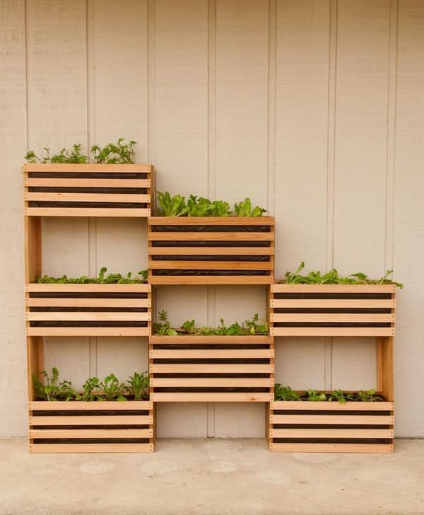 Vertical gardening