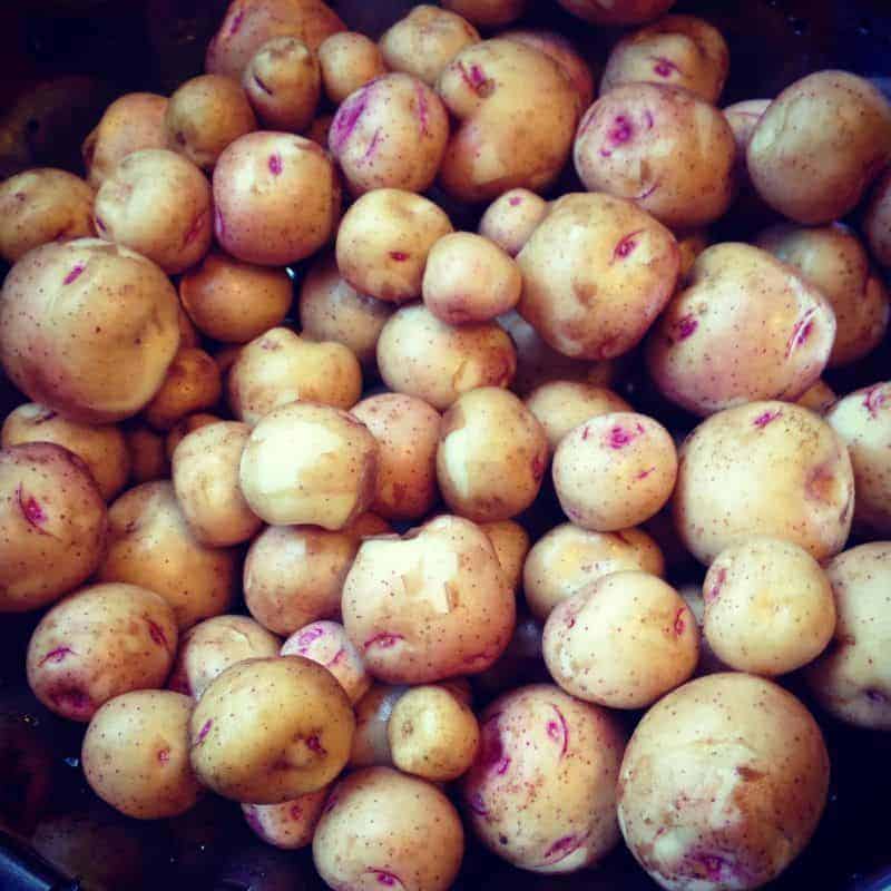 Freshly Harvested Potatoes