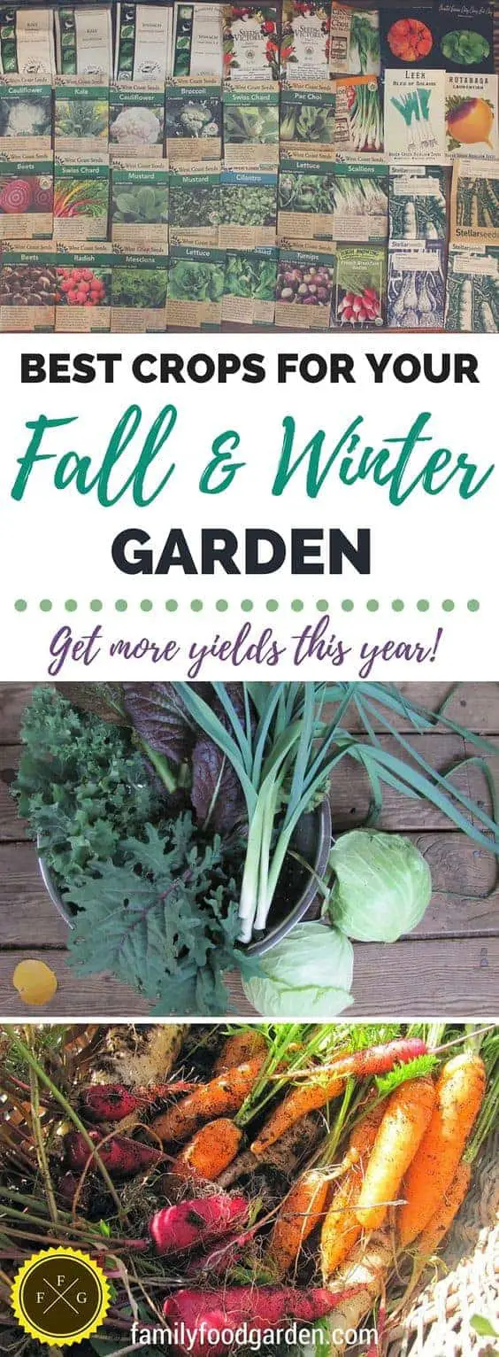 How to Plant your Fall and Winter Garden