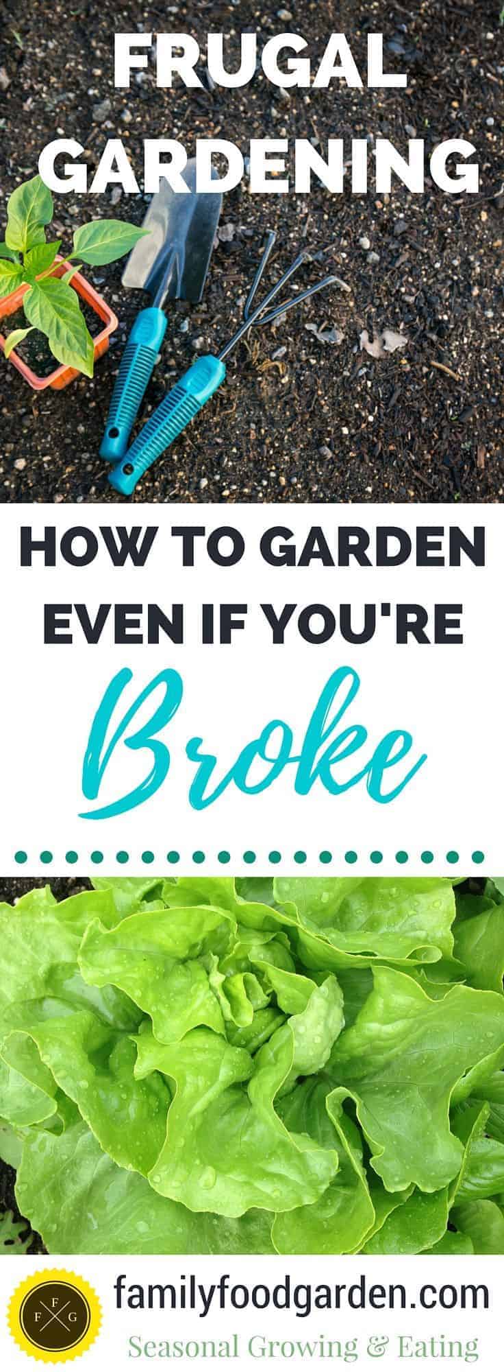 How to Garden even if you're broke