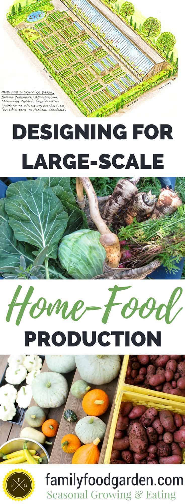 Achieving large-scale food production by growing all of your fruits & vegetables on 1 acre