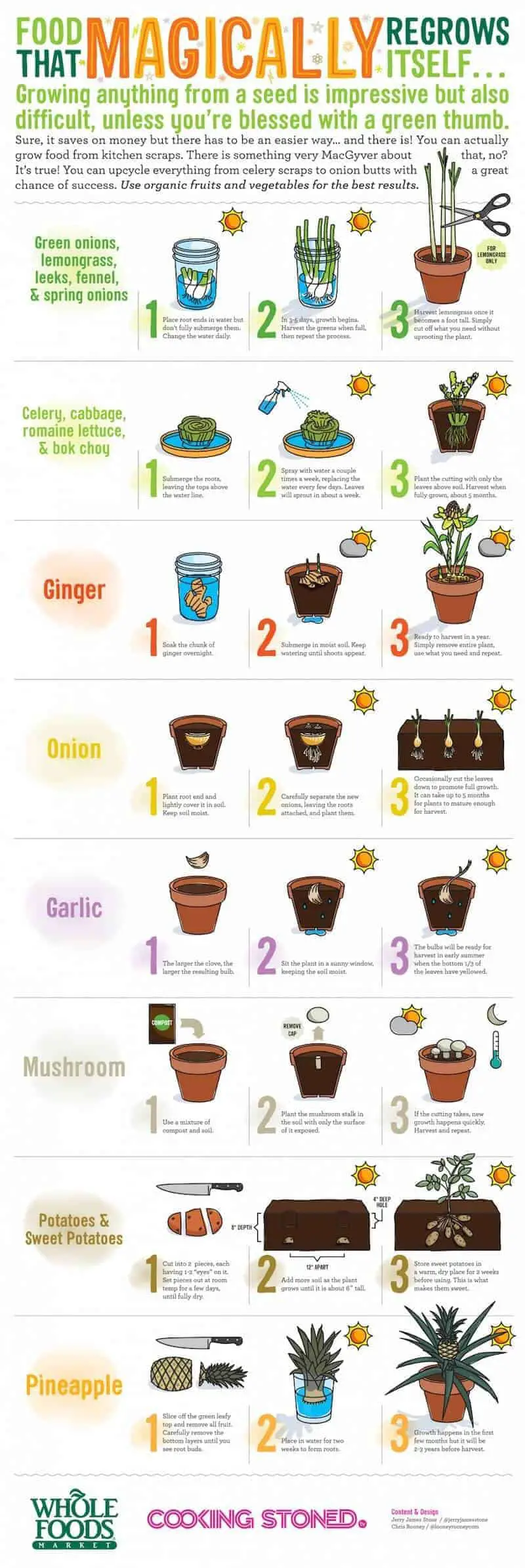 Goods that re-grow from scraps!