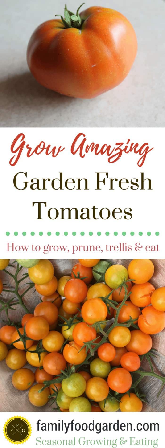 Growing Tomatoes ~ How to trellis, prune, grow & eat tomatoes!