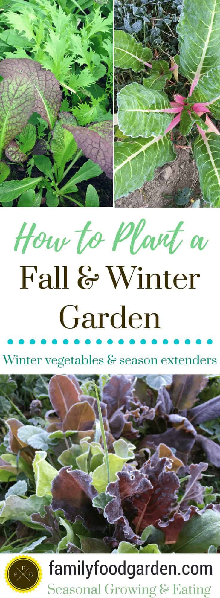 How to Plant your Fall and Winter Garden