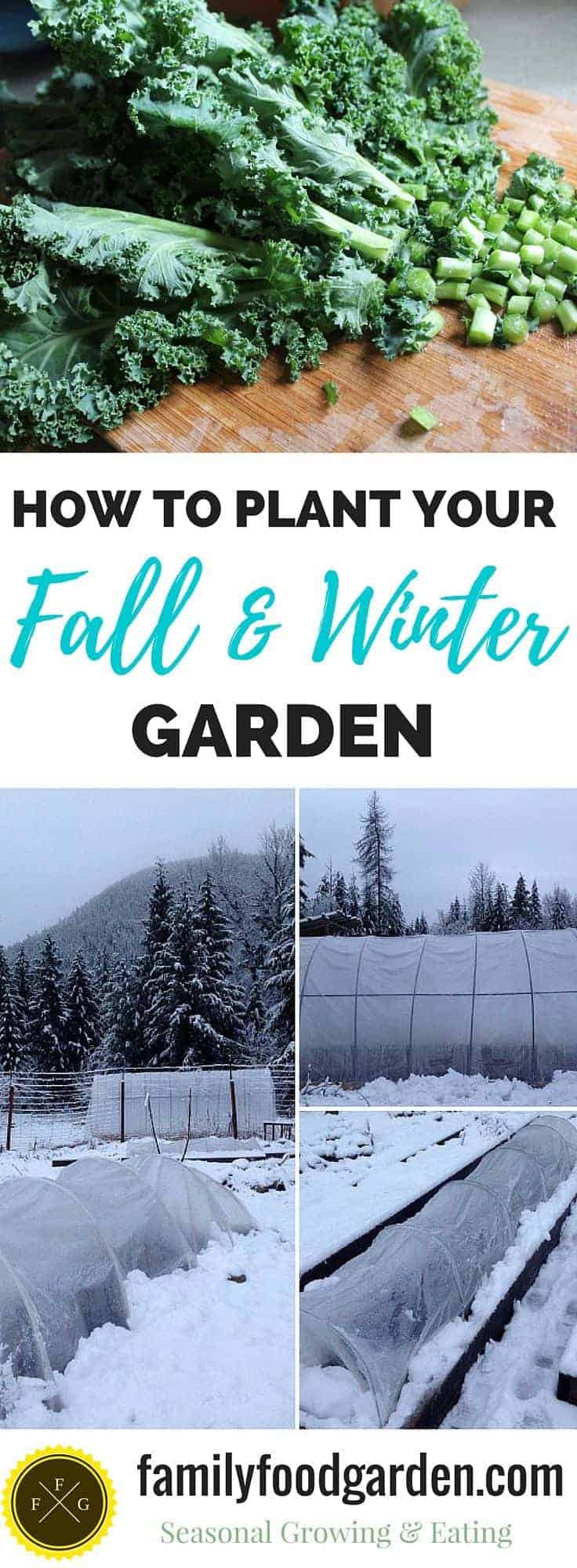 How to Plant your Fall & Winter Garden: Vegetables for the Cold