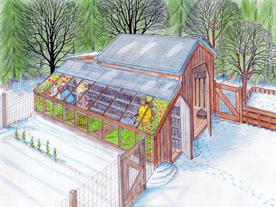 Greenhouse & garden shed design