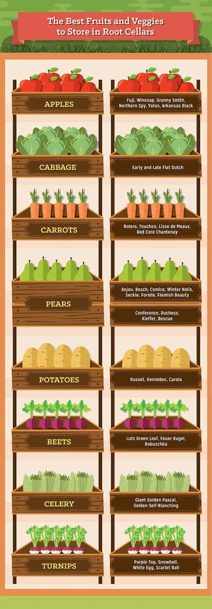 Crops for root cellar storage