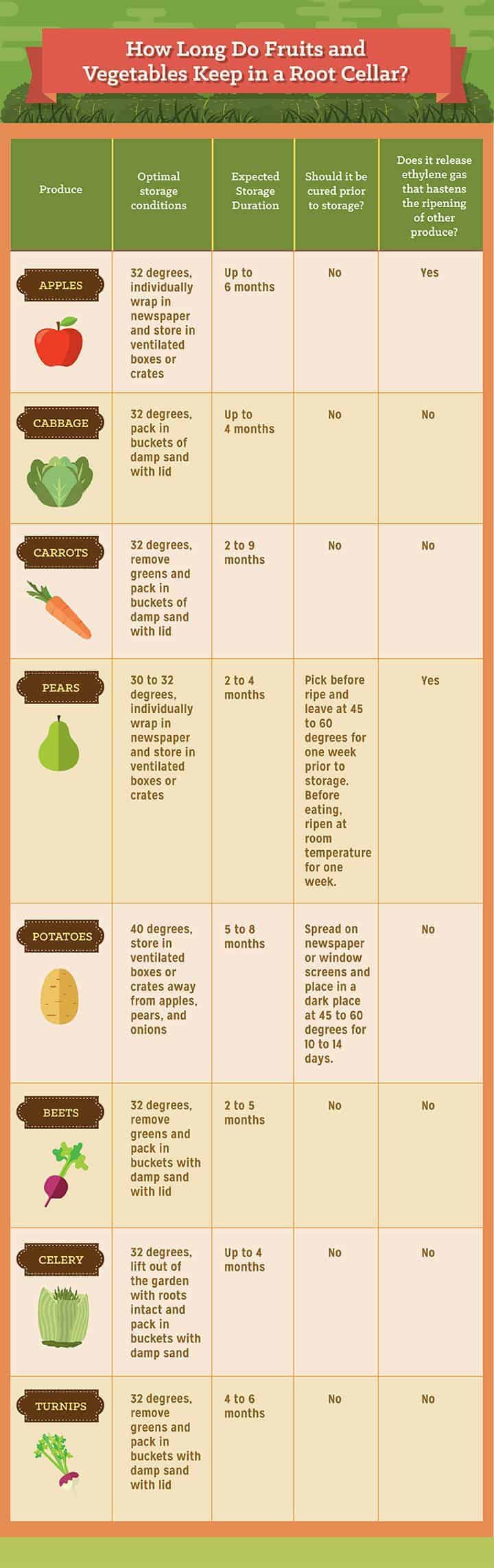 How to store crops in a root cellar