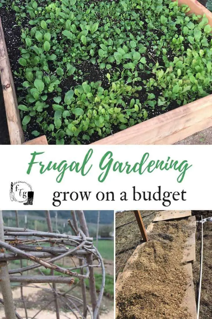 Tips for frugal gardening