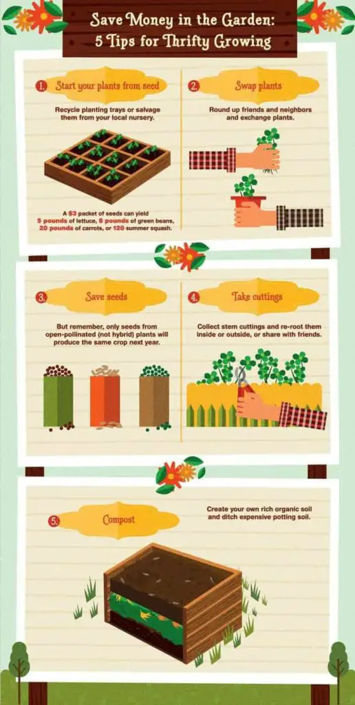 Frugal gardening tips