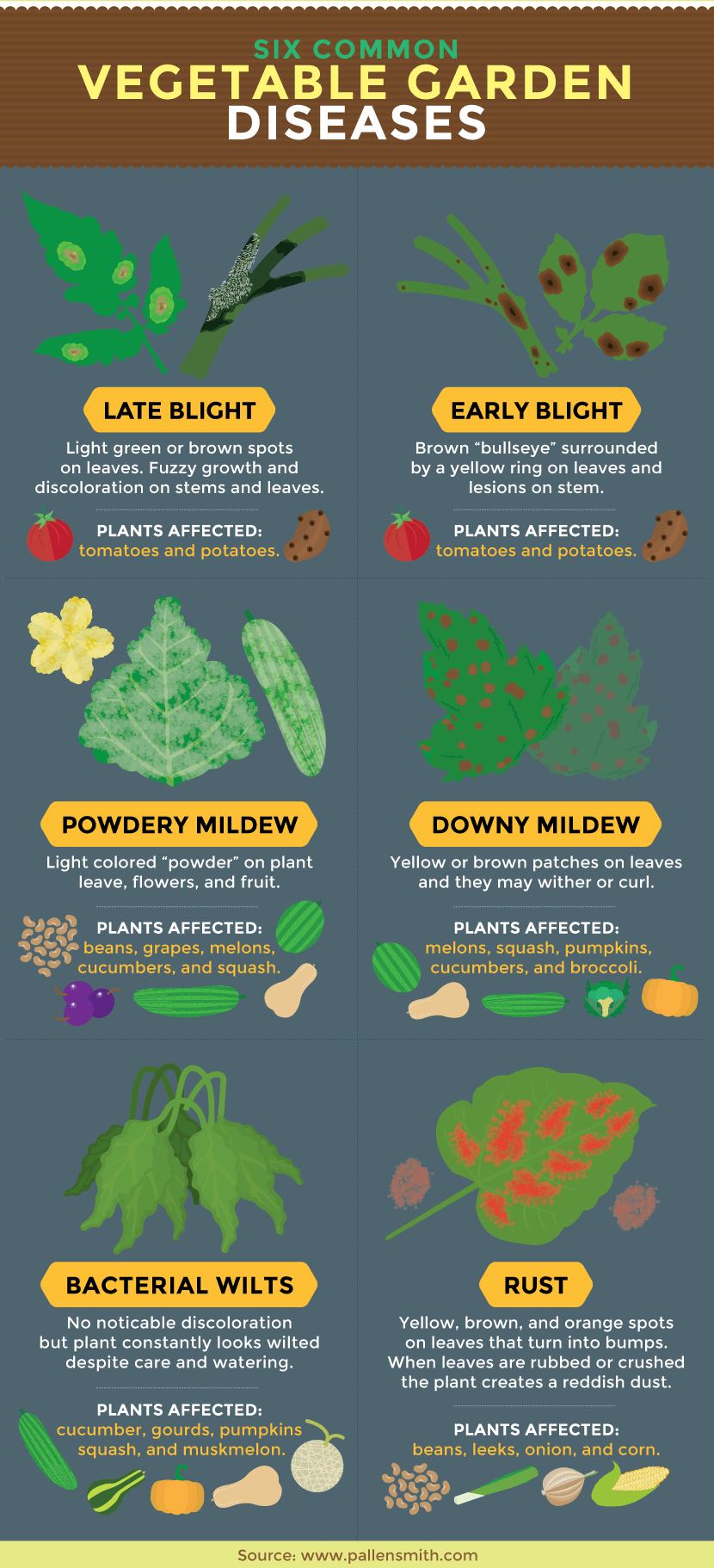 Vegetable Garden Diseases- Why are my crops are dying 