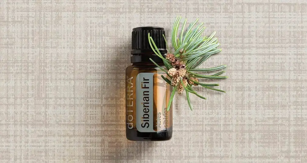 doTerra Siberian Essential Oil