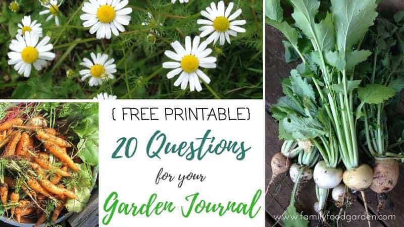 How to keep a garden journal + free garden journal printable
