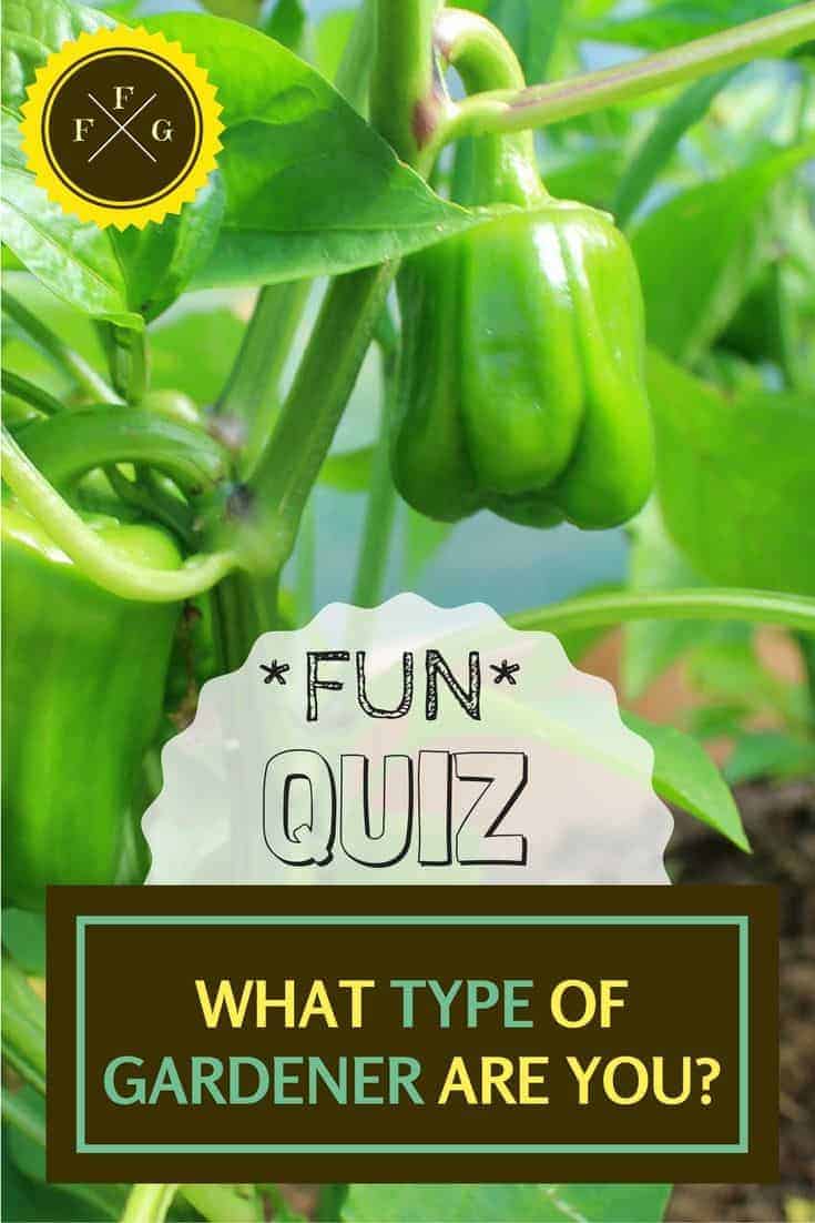 Are you a lazy gardener? Addicted to seeds? Take this fun quiz to find out what type of gardener you are