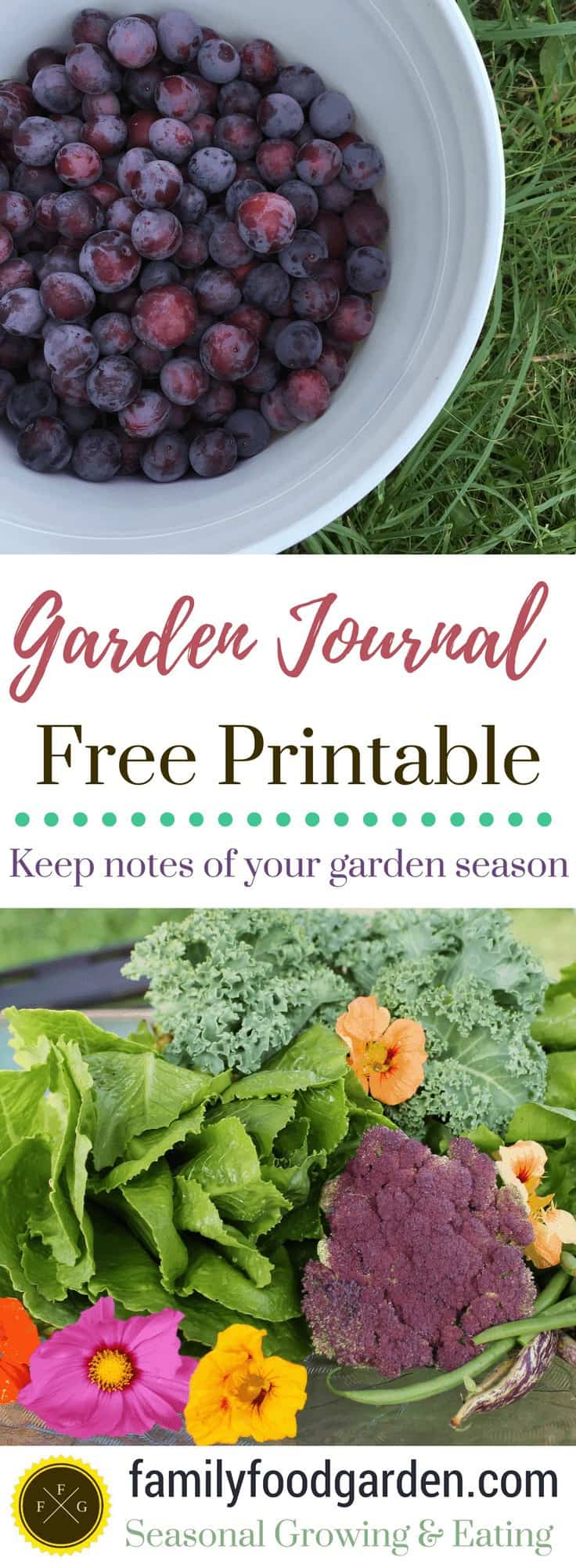 How to keep a garden journal + free garden journal printable