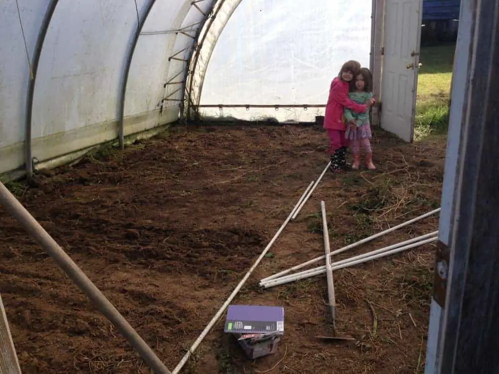 Greenhouse Gardening: Growing Vegetables Year-Round