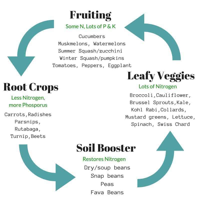 Crop Rotation Guide