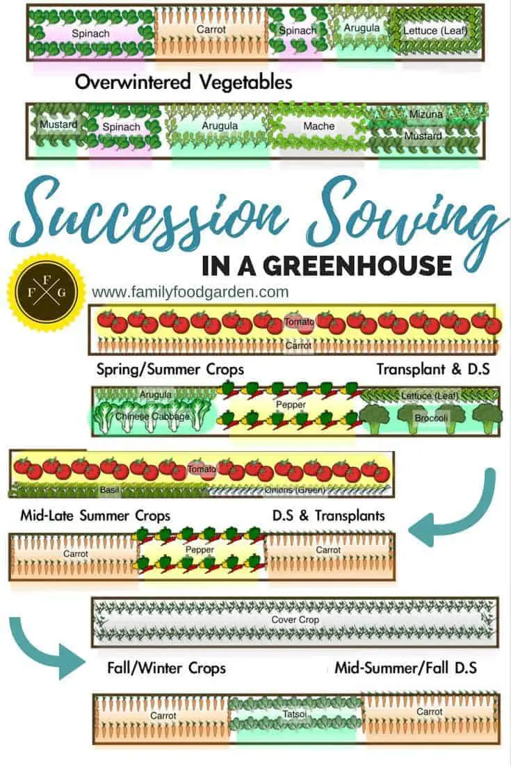 Growing Food Year-Round in a Greenhouse