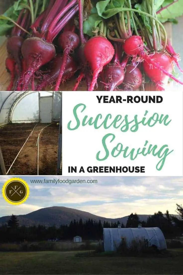 Growing Food Year-Round in a Greenhouse
