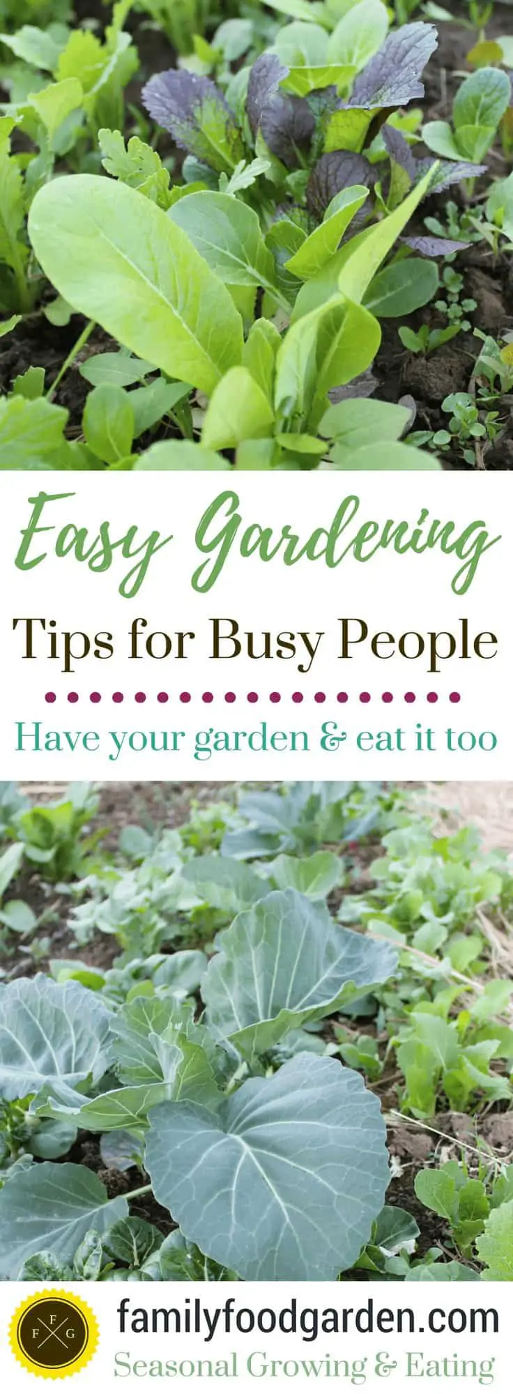 Easy Gardening Tips For Busy People: Have Your Garden & Eat It Too