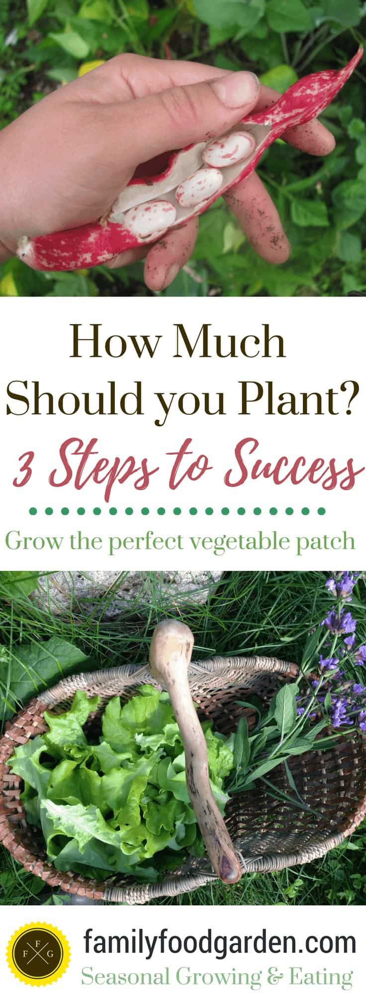 How Much Should You Plant? 3 Steps To Success