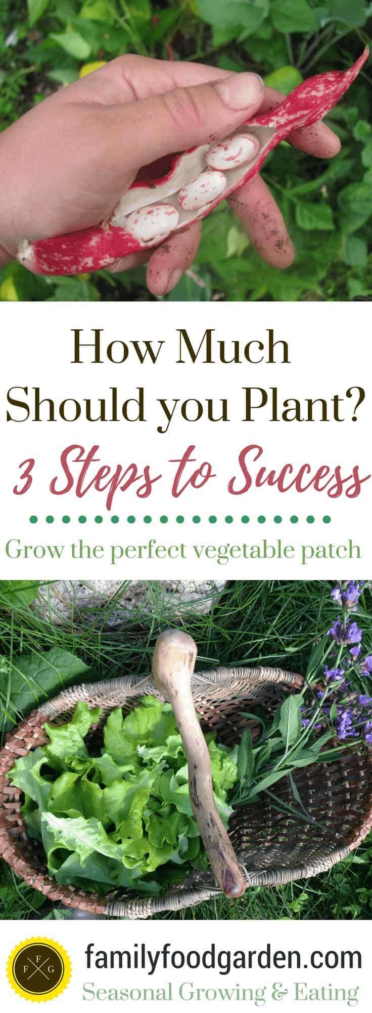 How Much Should You Plant? 3 Steps To Success
