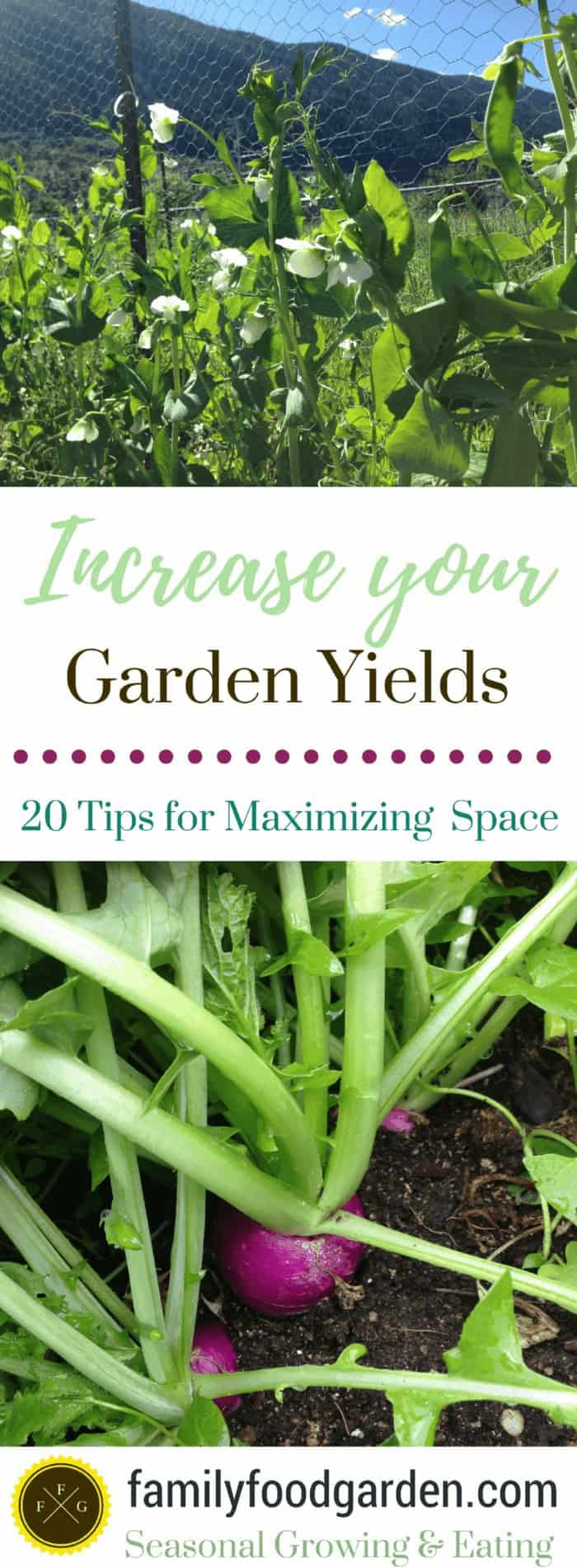 Increase your Garden Yields