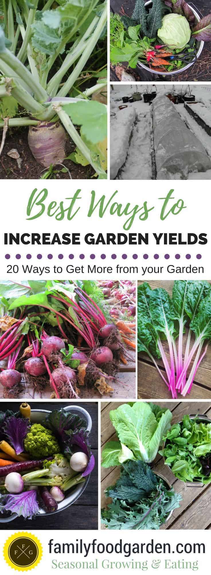 Increase your vegetable gardening yields with these great tips